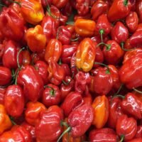 Peppers