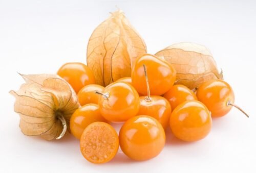 Physalis – Image 4