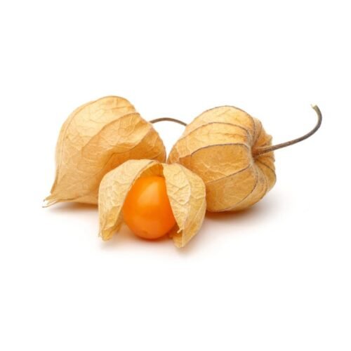 Physalis – Image 3