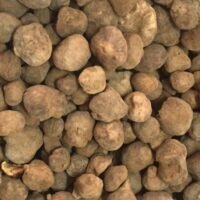 Truffles